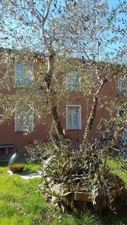 Querce Ulivo Della Querce别墅 外观 照片